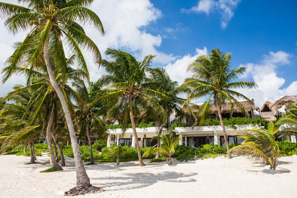 The Beach Tulum Hotel מראה חיצוני תמונה