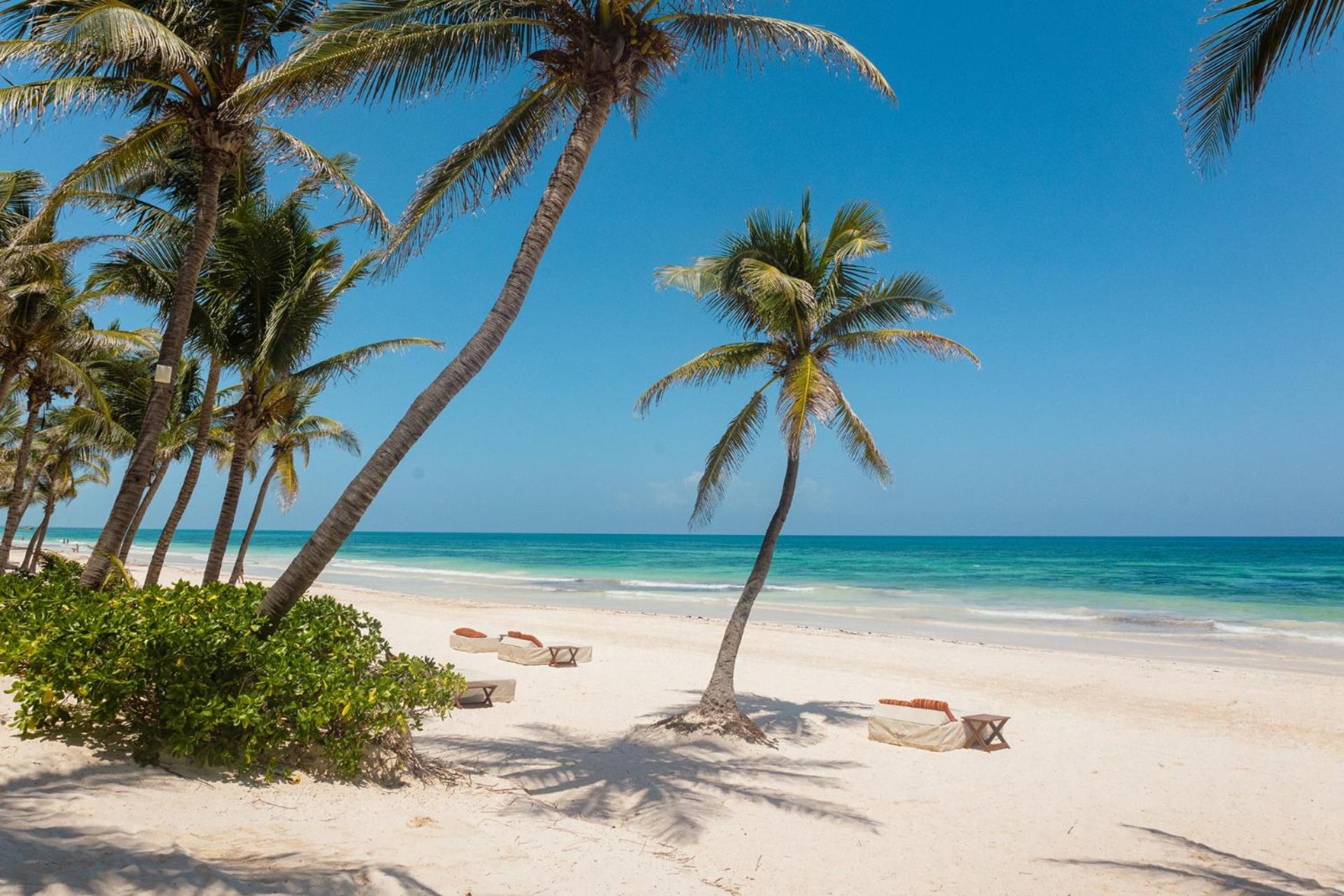 The Beach Tulum Hotel מראה חיצוני תמונה