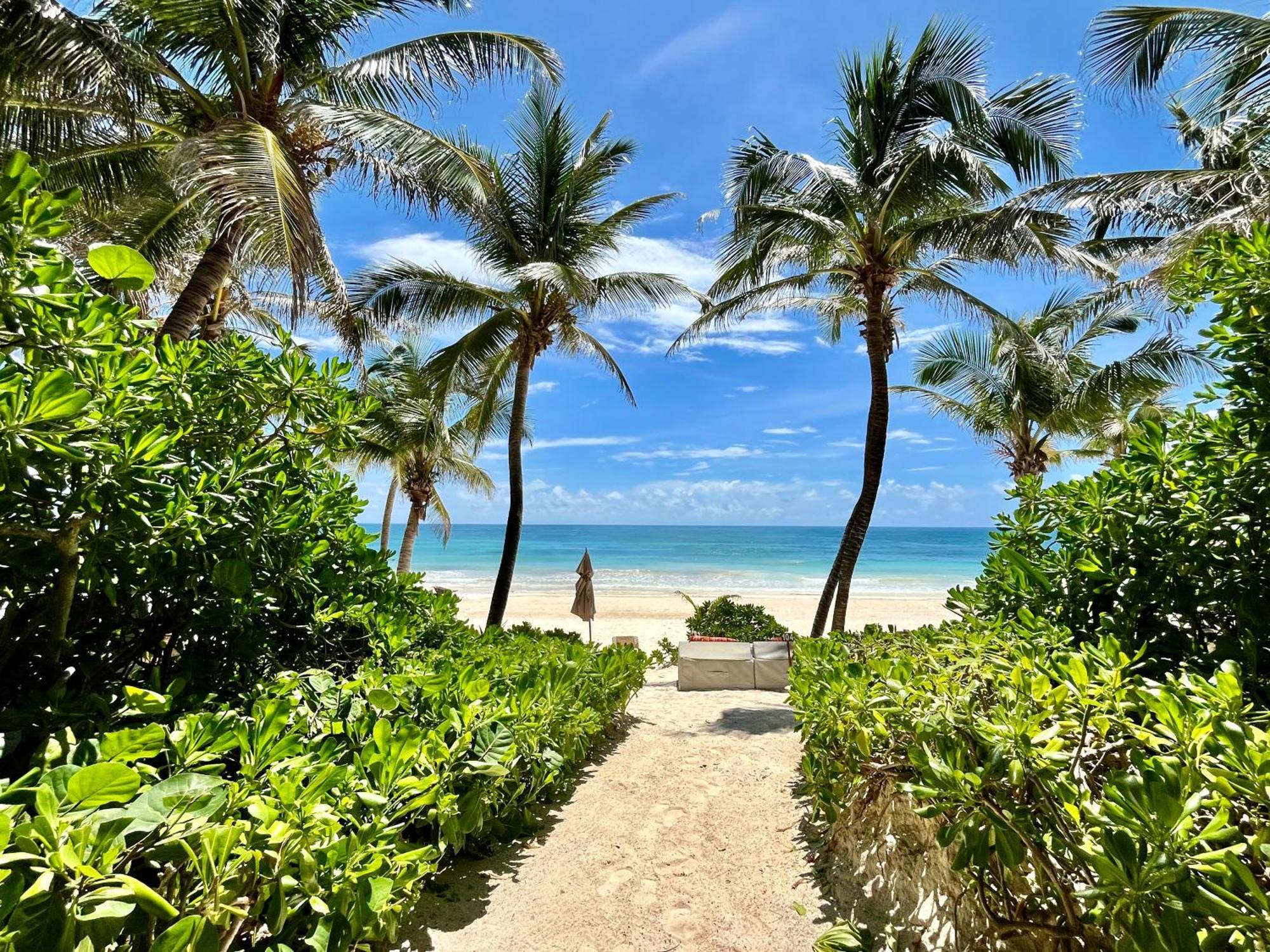 The Beach Tulum Hotel מראה חיצוני תמונה