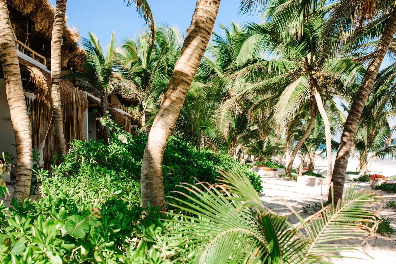 The Beach Tulum Hotel מראה חיצוני תמונה